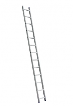 646464
